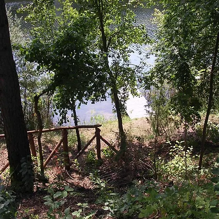 Gulbes Namai * Друскининкай