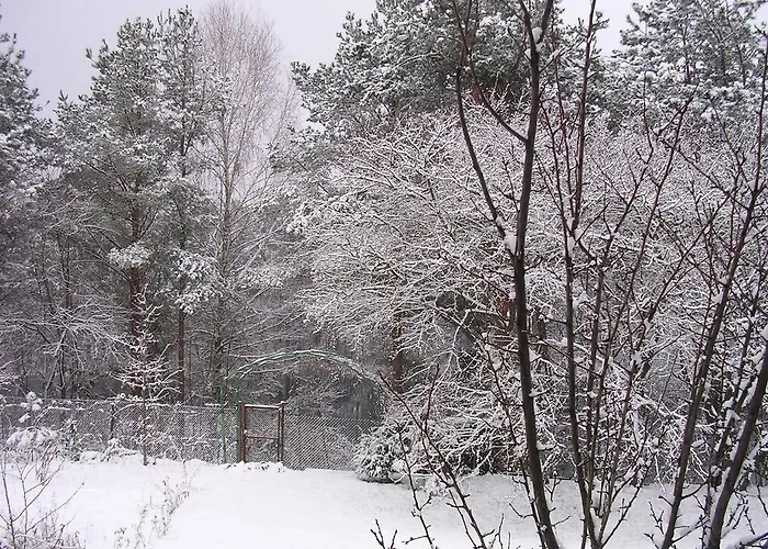 Gulbes Namai Guest house *